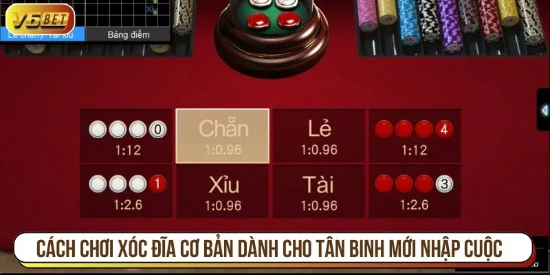 Cách chơi xóc đĩa cơ bản dành cho tân binh mới nhập cuộc