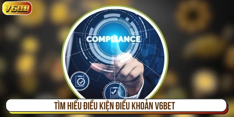 Điều kiện điều khoản cam kết quyền lợi cho toàn hệ thống