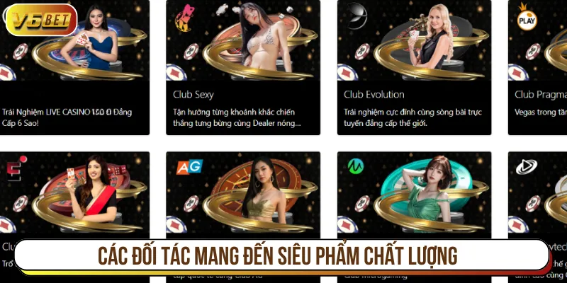 Đối tác phát hành Casino uy tín hàng đầu trên lĩnh vực