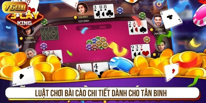 Luật chơi bài cào chi tiết dành cho tân binh