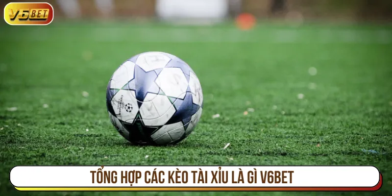 Người chơi được chọn loại kèo cược phù hợp tại V6BET