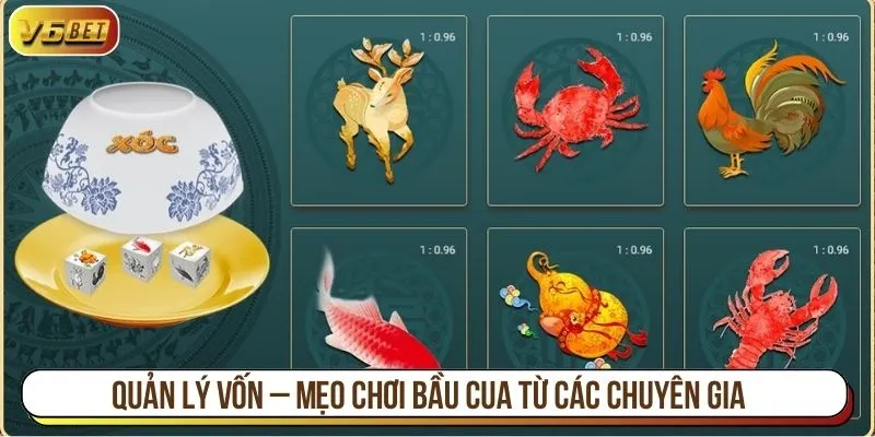 Quản lý vốn – Mẹo chơi bầu cua từ các chuyên gia